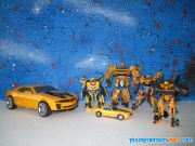 Bumblebee(s)